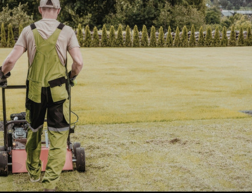 Lawn Aeration Isn’t Some New Thing – Here’s Why Many Homeowners Are Turning to It to Make Their Yards Beautiful