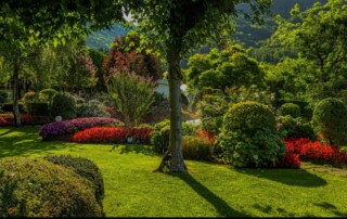 Lawn Fertilization Company in Lenexa