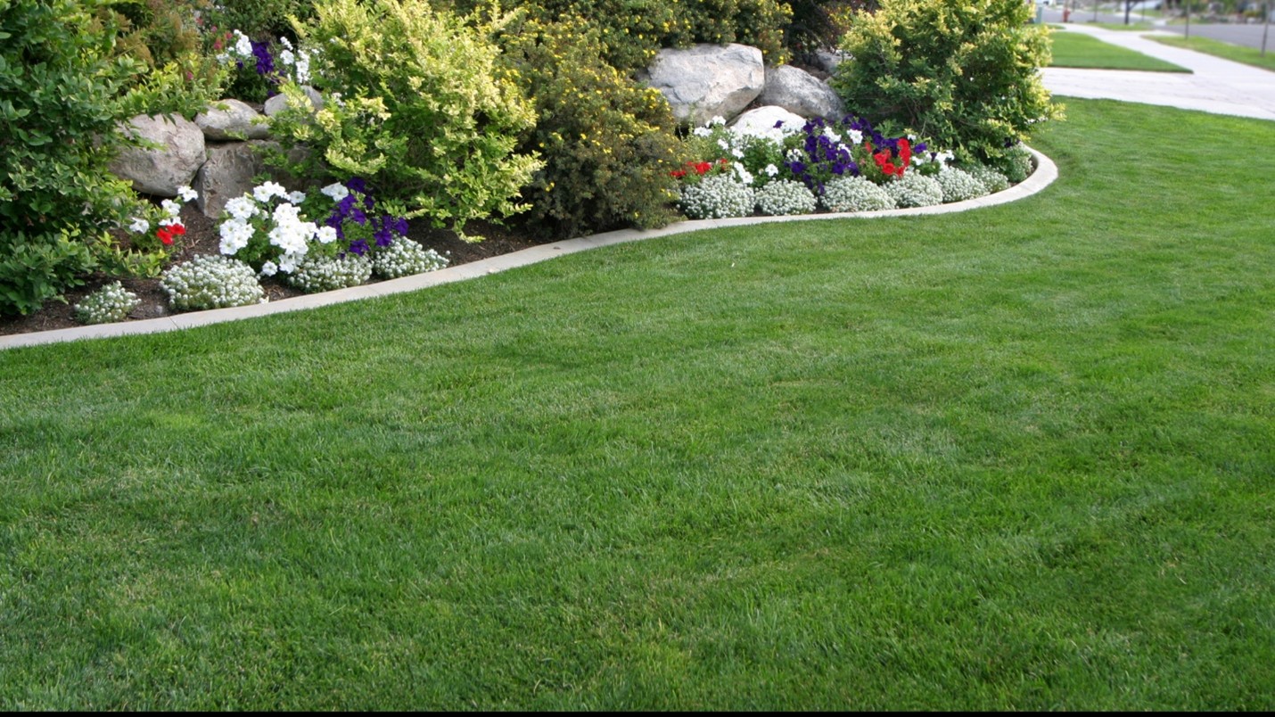 Leawood Lawn Care Services