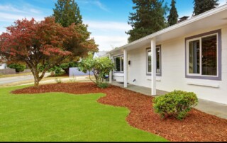Professional landscaping services in Lenexa usually focus on solving underlying issues first instead of simply improving appearance temporarily.