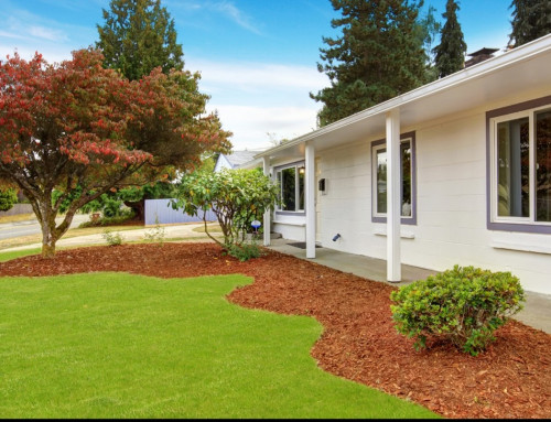 How Have Lawn Care Services in Lenexa Changed Over the Years?