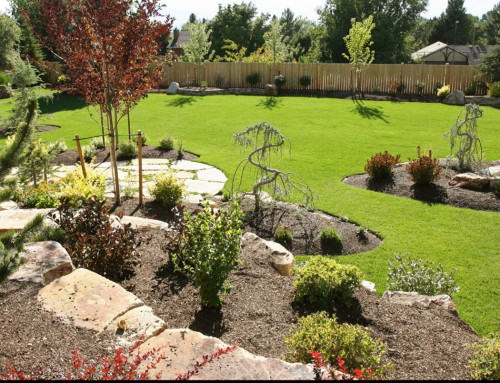 When Is It Time to Schedule Lawn Care Again?