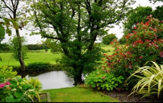 Leawood Landscape Designs