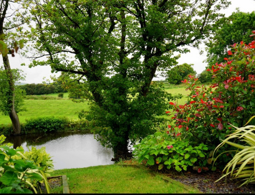 How Can Leawood Landscape Designs Take My Lawn to the Next Level?