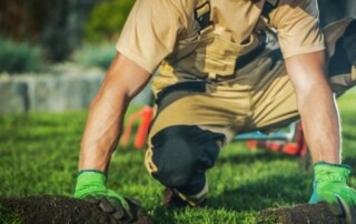 Landscape Maintenance in Lenexa