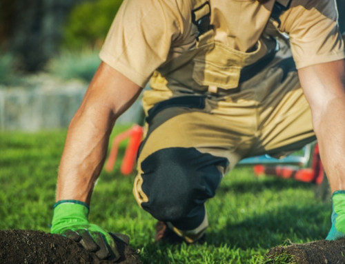 When Does Routine Landscape Maintenance Start Protecting Curb Appeal?