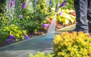 Landscape Designers in Lenexa