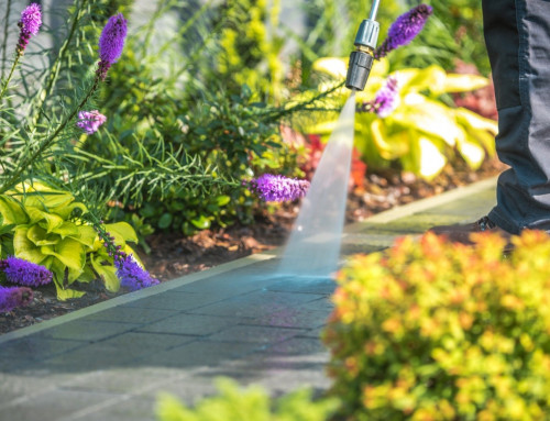 What Separates a Good Landscape Crew from a Great One?