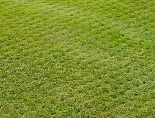What Belongs in an Outdoor Space You Will Actually Use?