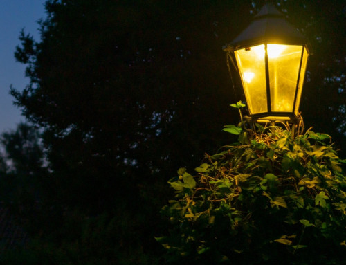 What Makes Outdoor Lighting Look Polished Instead of Overdone?