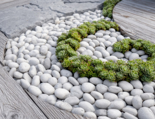 How Do You Know When Your Yard Needs a Bigger Plan?