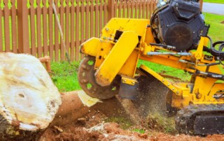 Lawn Care Services in Lenexa