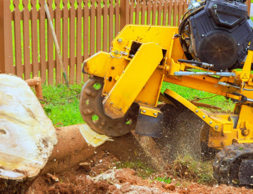 What Does a Full Lawn Care Visit Really Include?