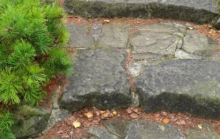 Lenexa Lawn Care Services