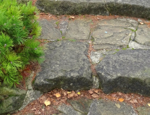 Should You Keep Up With the Lawn Yourself or Hand It Off?
