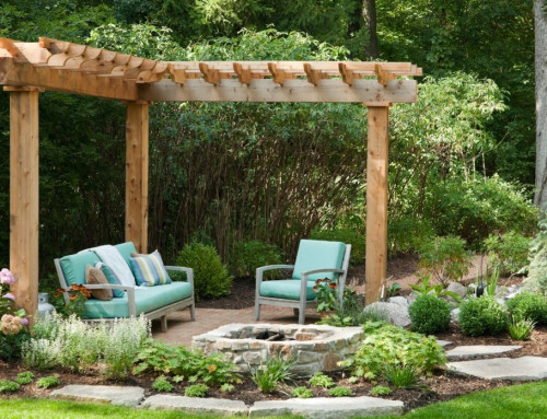 How to Choose Plants for Lenexa Landscaping