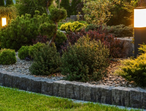 How Can Outdoor Lighting Make A Lenexa Yard Feel Safer At Night?