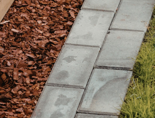 What Does A Good Seasonal Lawn Care Plan Include in Leawood?