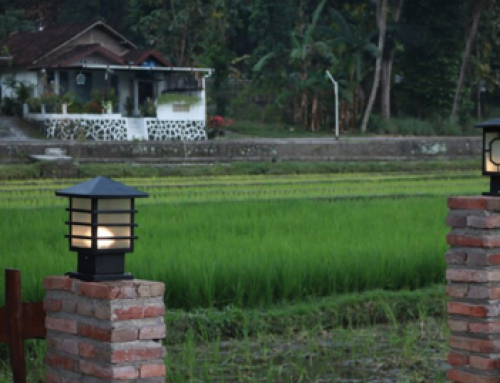 What Makes a Landscape Design Easy to Maintain?