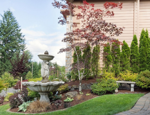 How Do You Choose a Lawn Care Company Without Guessing?