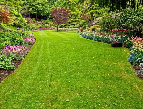 Meet Our Owner, Patrick Vogt, and Learn About His Dedication to Premium Landscaping Services in Leawood